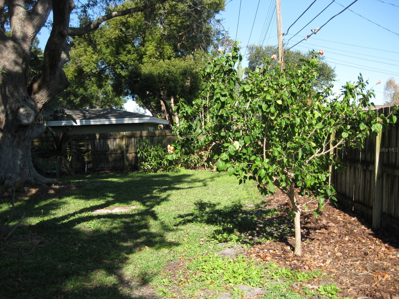 1479 Ruth Road Dunedin FL 34698 TB8488735 image44