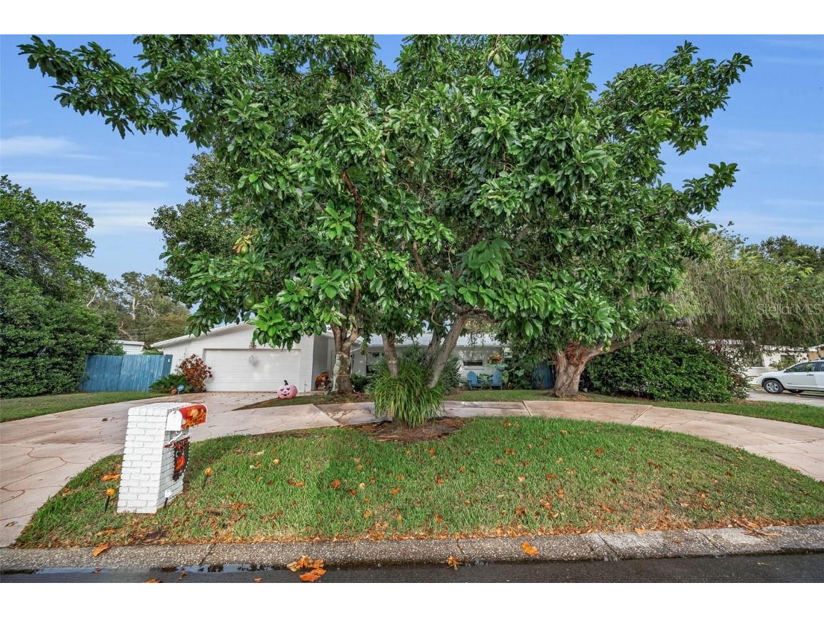 1479 S Evergreen Avenue Clearwater FL 33756 TB8440386 image4