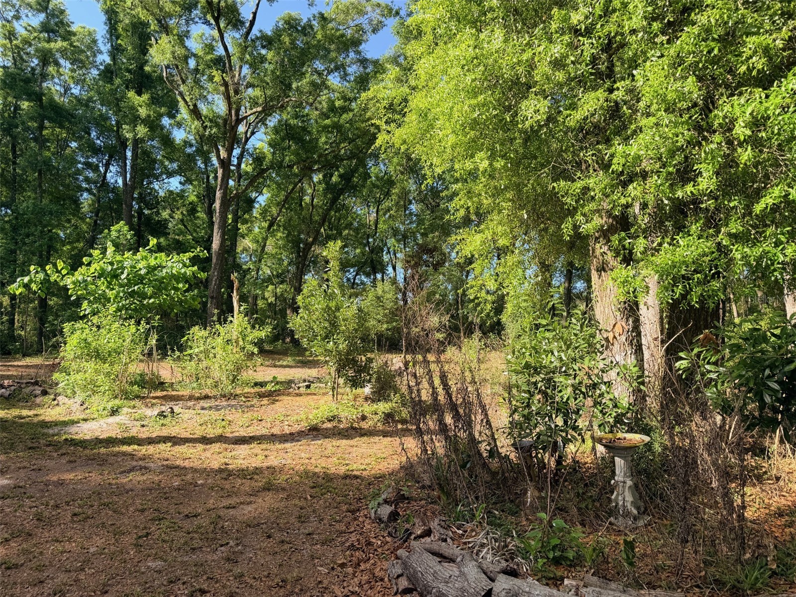 14790 NW 72nd Court Chiefland FL 32626 GC539381 image27