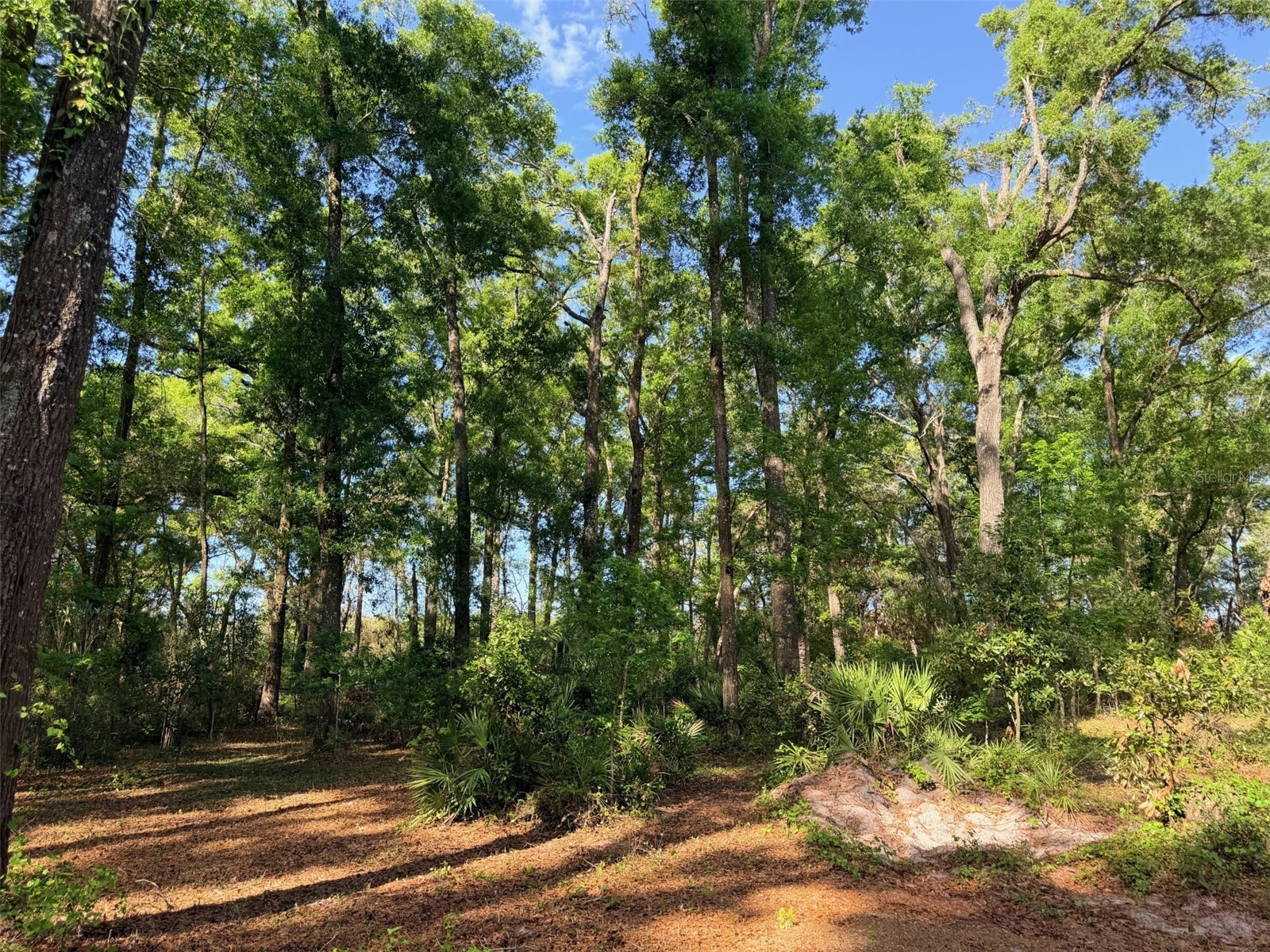 14790 NW 72nd Court Chiefland FL 32626 GC539381 image33