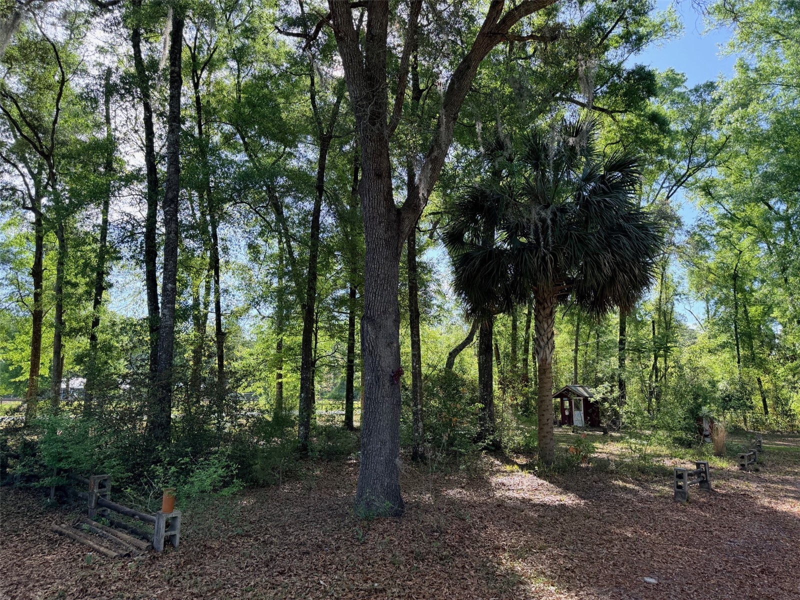 14790 NW 72nd Court Chiefland FL 32626 GC539381 image35
