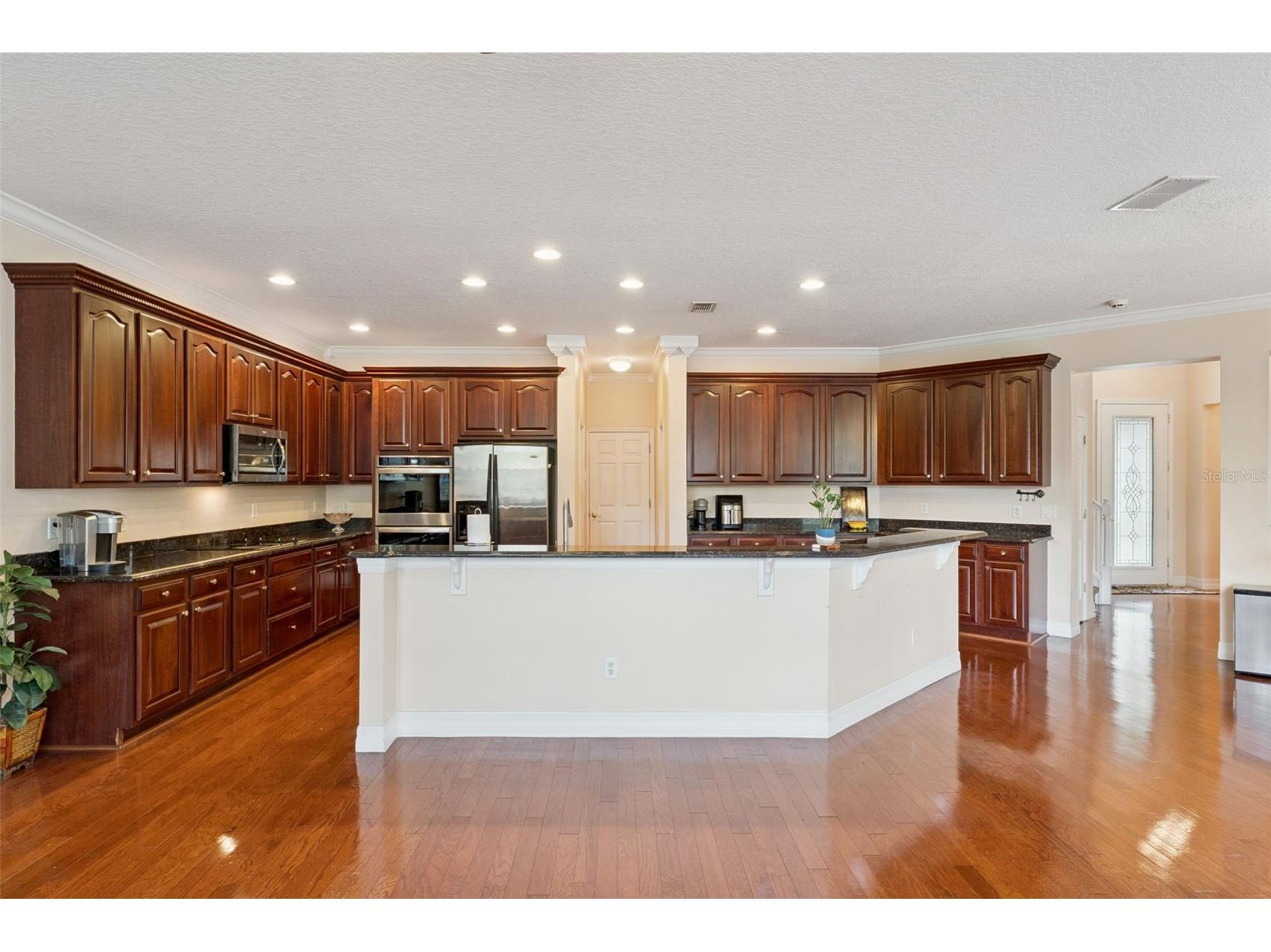 14790 Tullamore Loop Winter Garden FL 34787 O6395287 image12