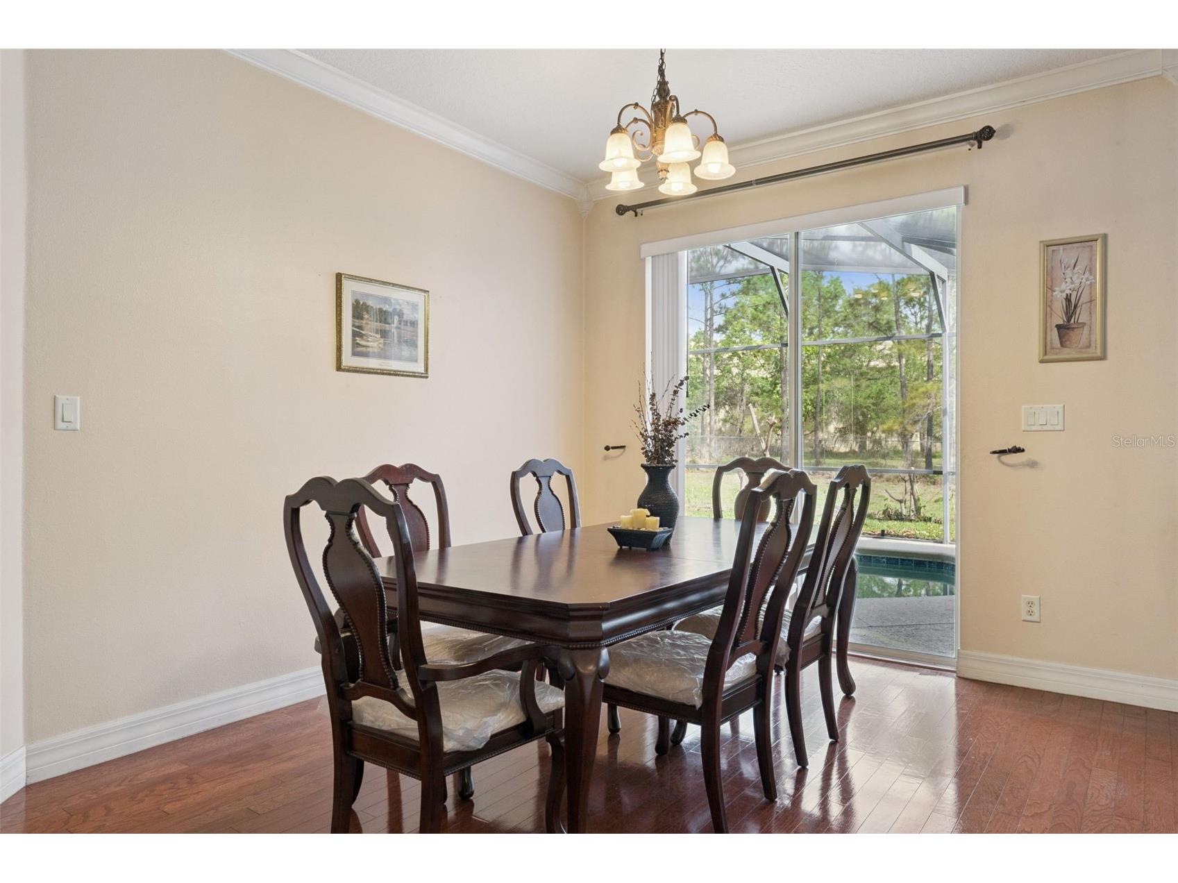 14790 Tullamore Loop Winter Garden FL 34787 O6395287 image15