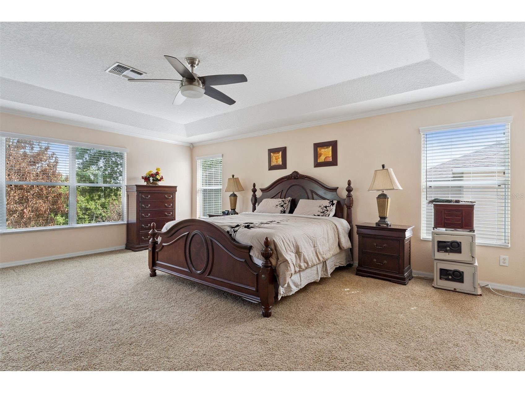 14790 Tullamore Loop Winter Garden FL 34787 O6395287 image21