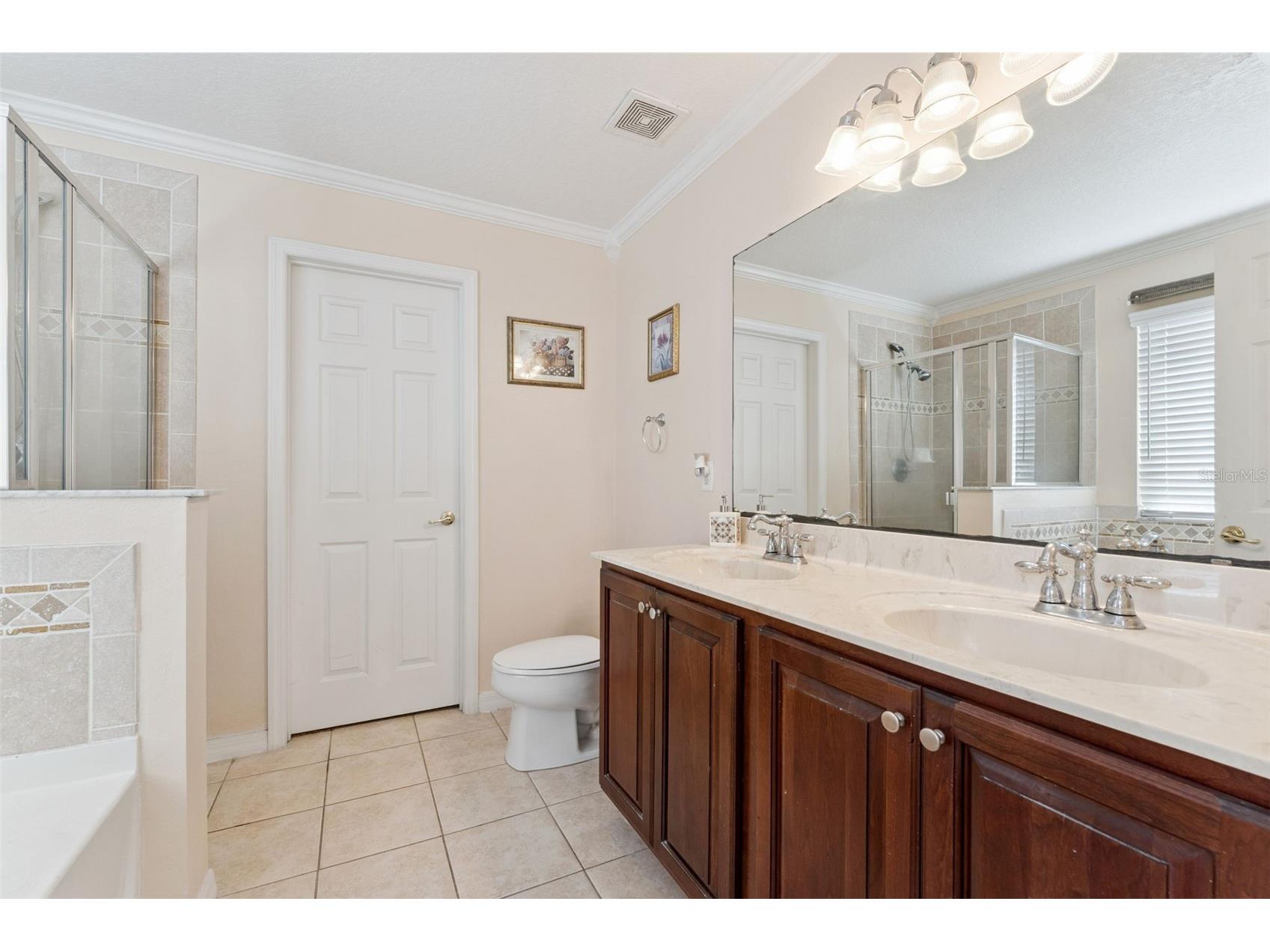 14790 Tullamore Loop Winter Garden FL 34787 O6395287 image24
