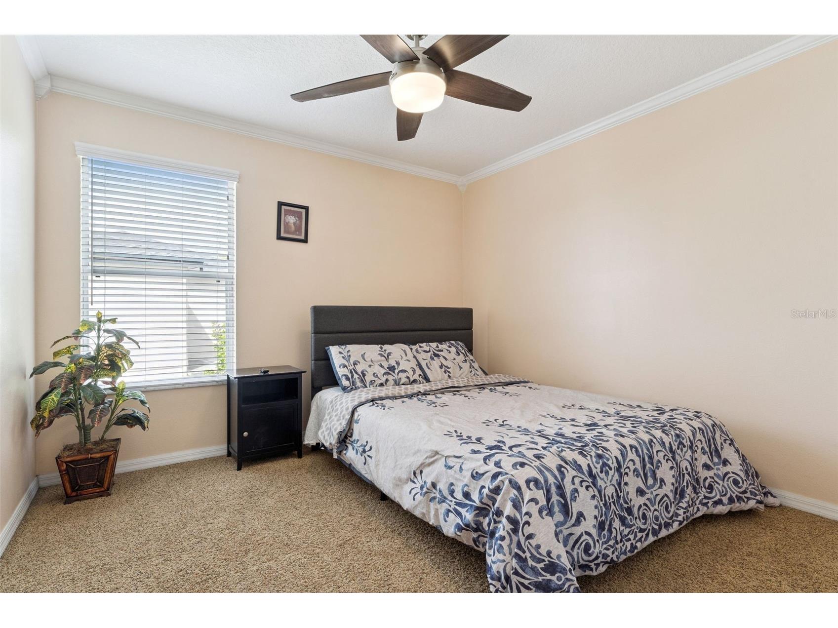 14790 Tullamore Loop Winter Garden FL 34787 O6395287 image26
