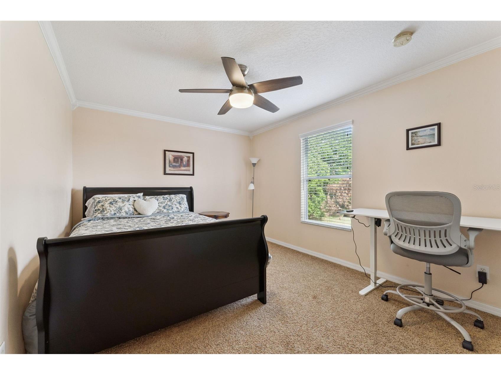 14790 Tullamore Loop Winter Garden FL 34787 O6395287 image28
