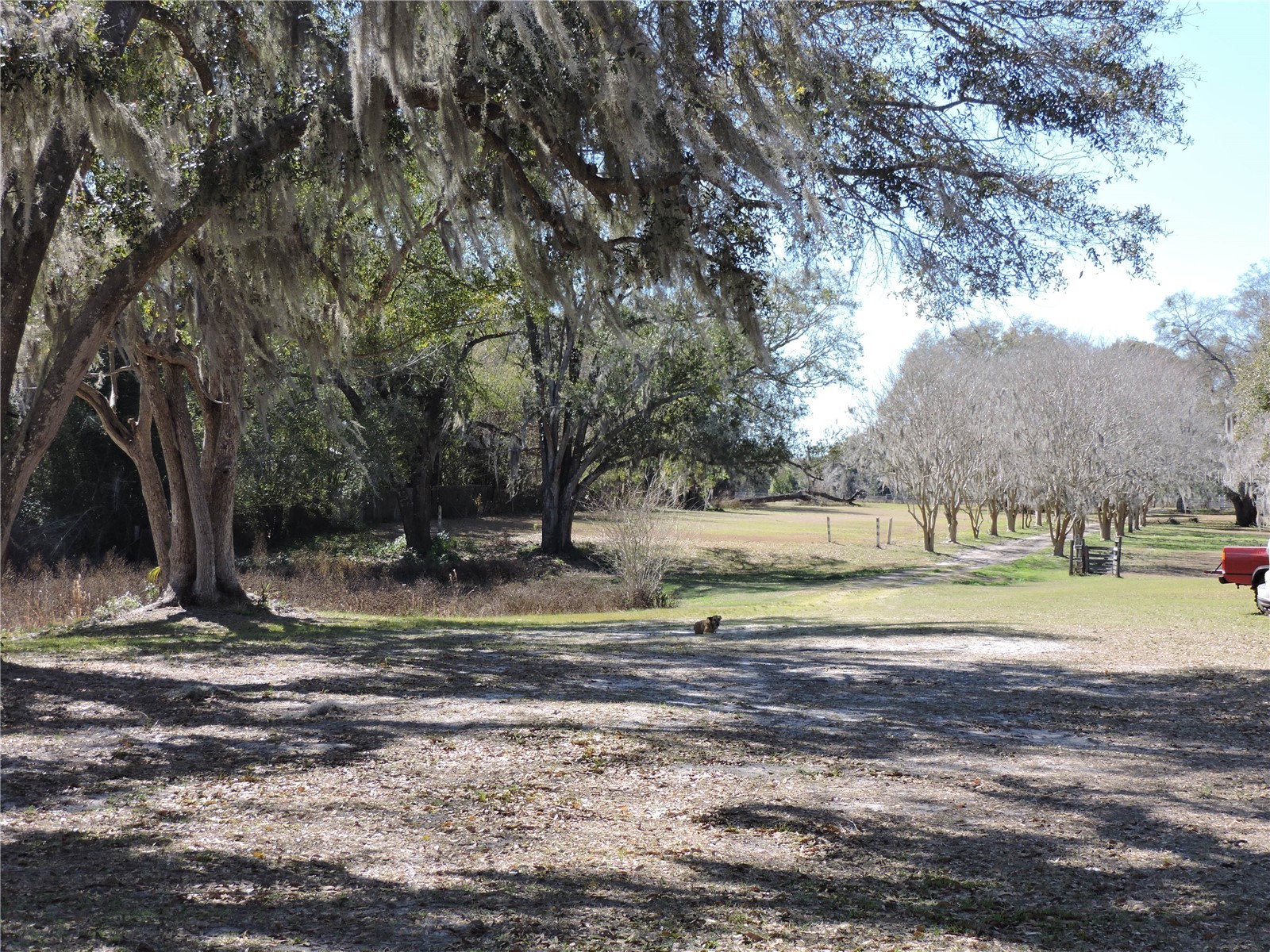 148 Denver Road Crescent City FL 32112 FC316471 image10