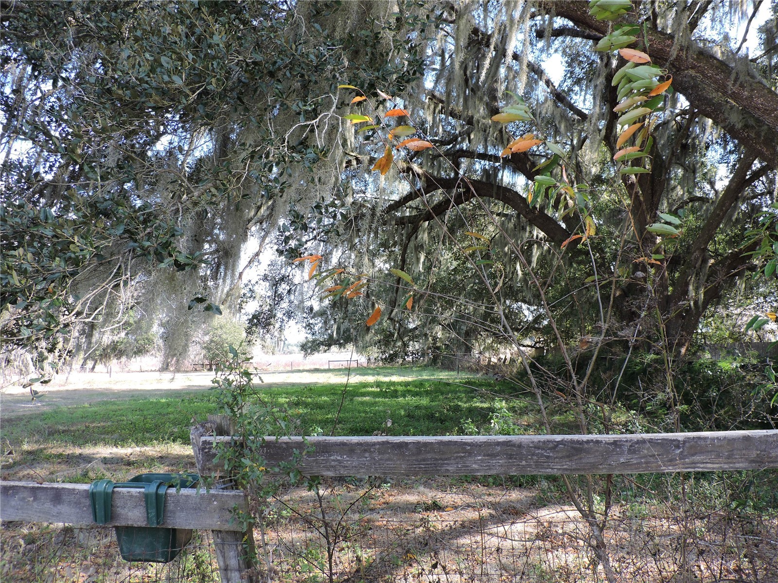 148 Denver Road Crescent City FL 32112 FC316471 image36