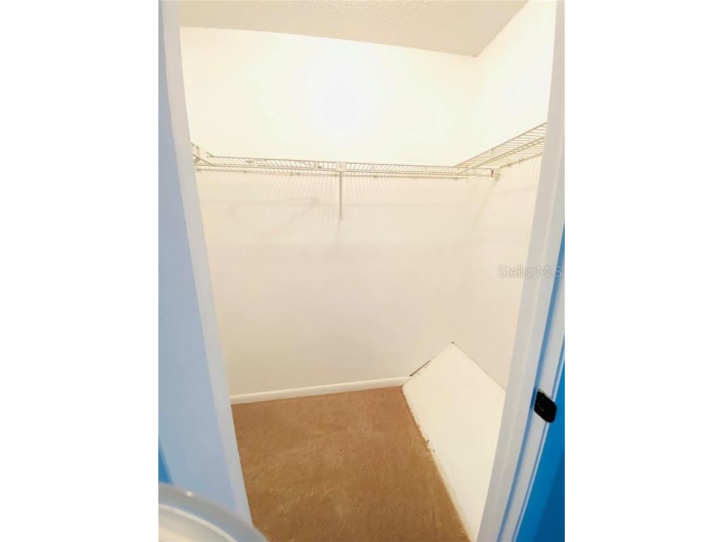 148 Douglas Road W #C Oldsmar FL 34677 TB8450023 image23