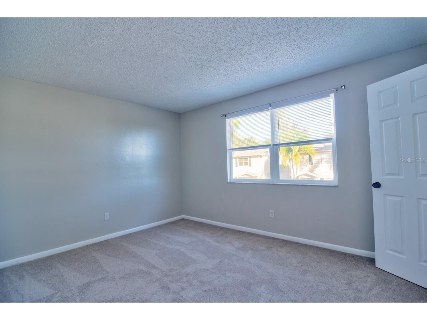 148 Douglas Road W #C Oldsmar FL 34677 TB8464561 image23