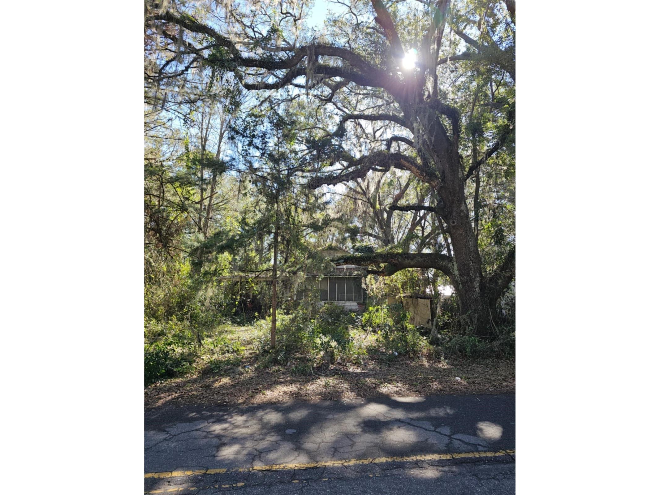 148 NE Williams Street Lake City FL 32055 P4934959 image1