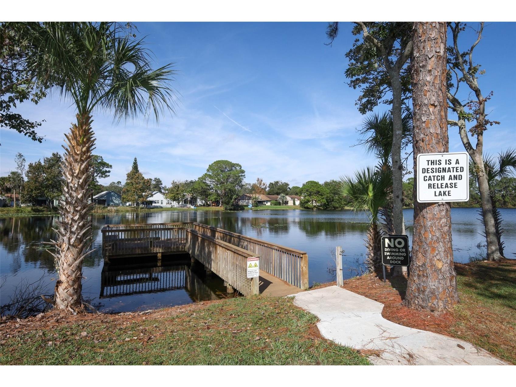 148 Sabal Palm Court Sanford FL 32773 O6365976 image38