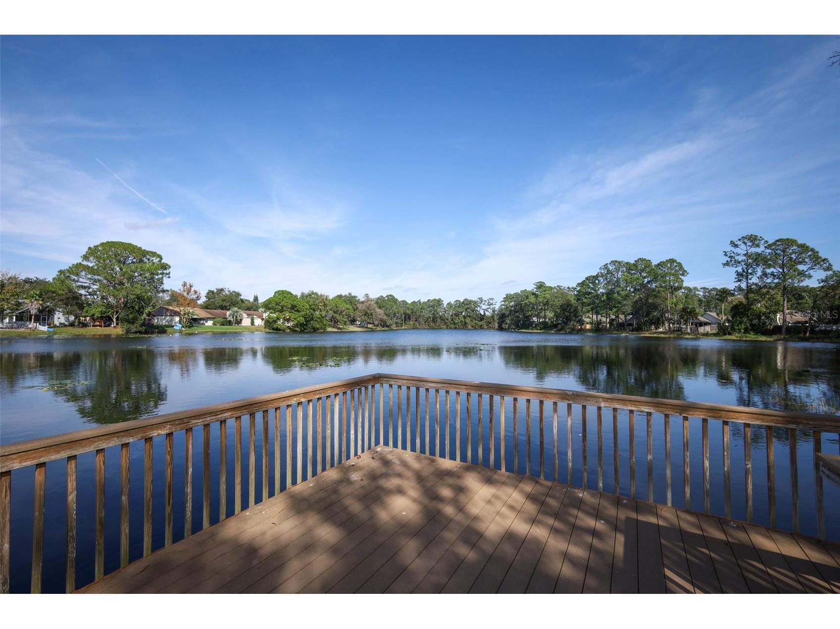 148 Sabal Palm Court Sanford FL 32773 O6365976 image40