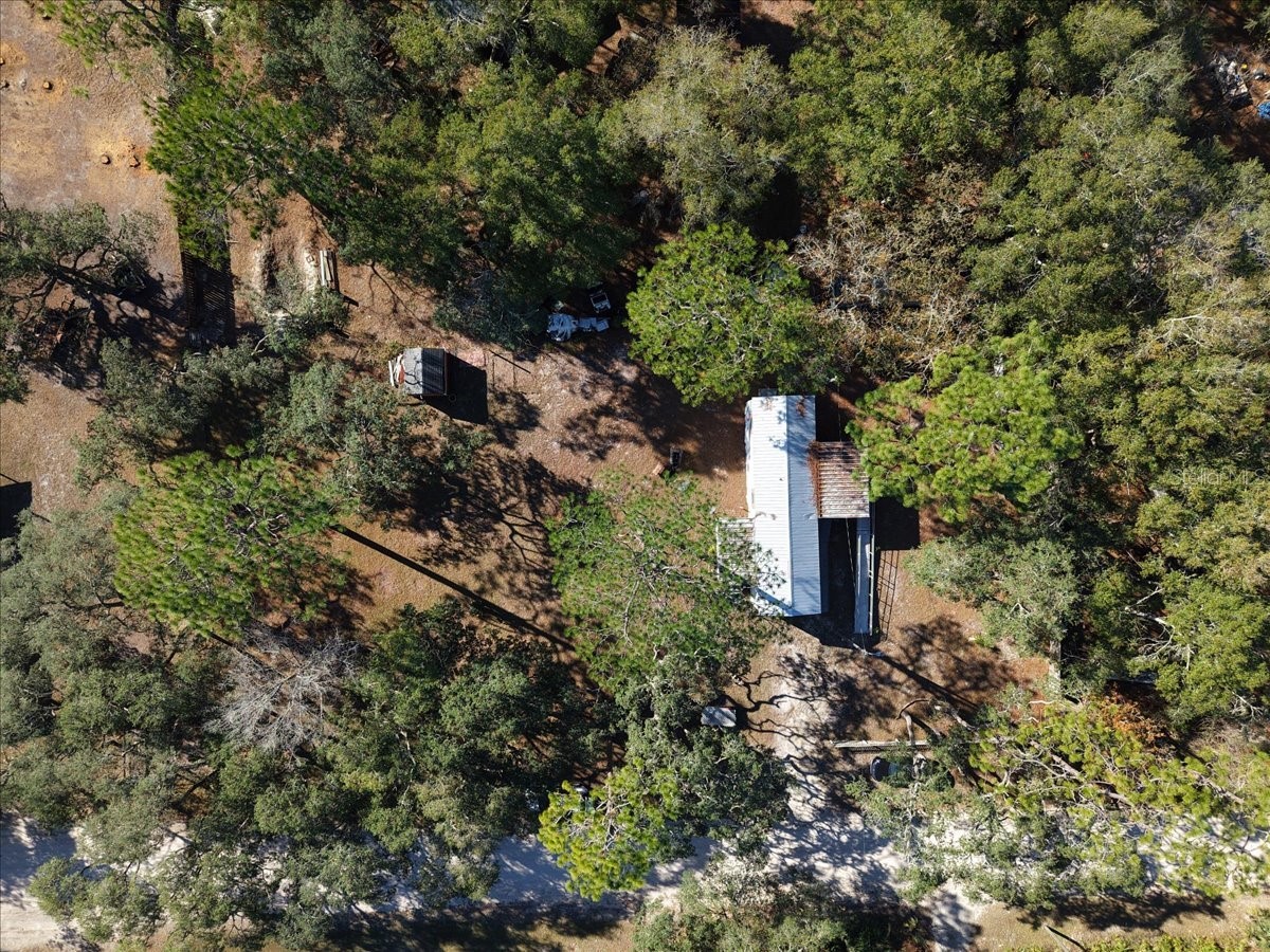 148 SE 911th Street Old Town FL 32680 GC535950 image28