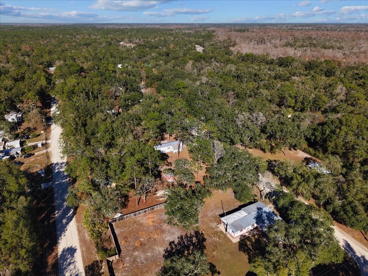 148 SE 911th Street Old Town FL 32680 GC535950 image29