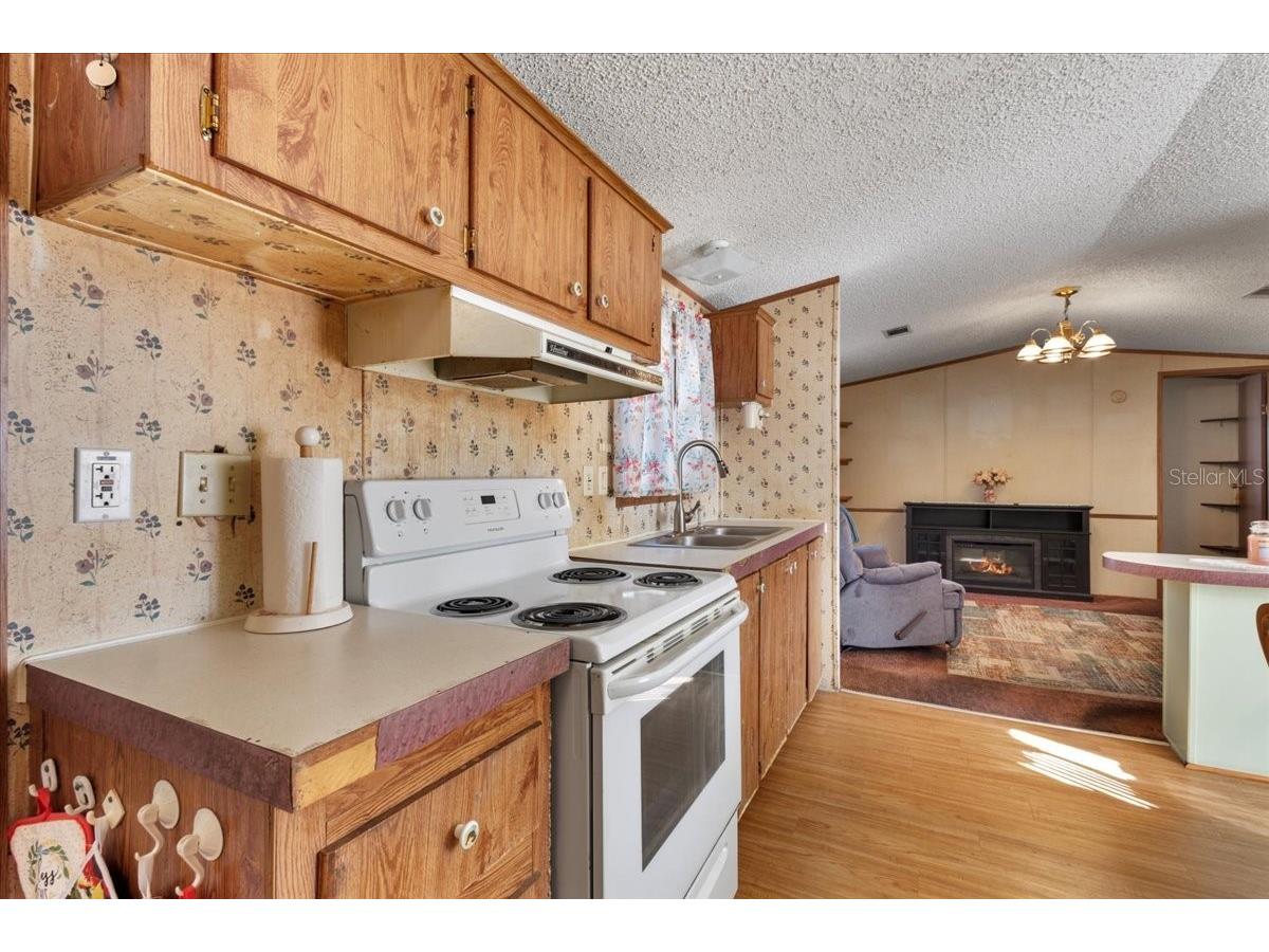 148 SE 911th Street Old Town FL 32680 GC535950 image7