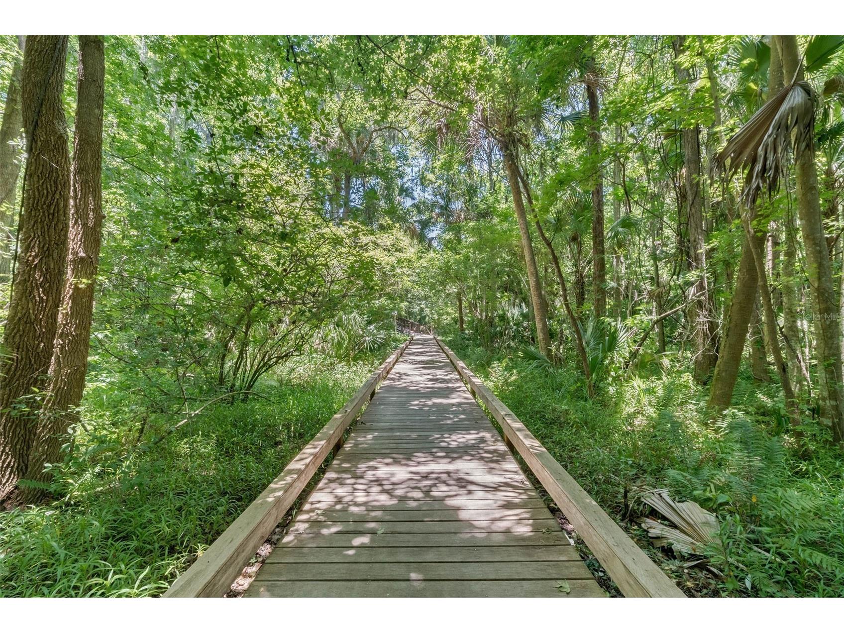 148 Wisteria Drive Longwood FL 32779 O6417383 image66