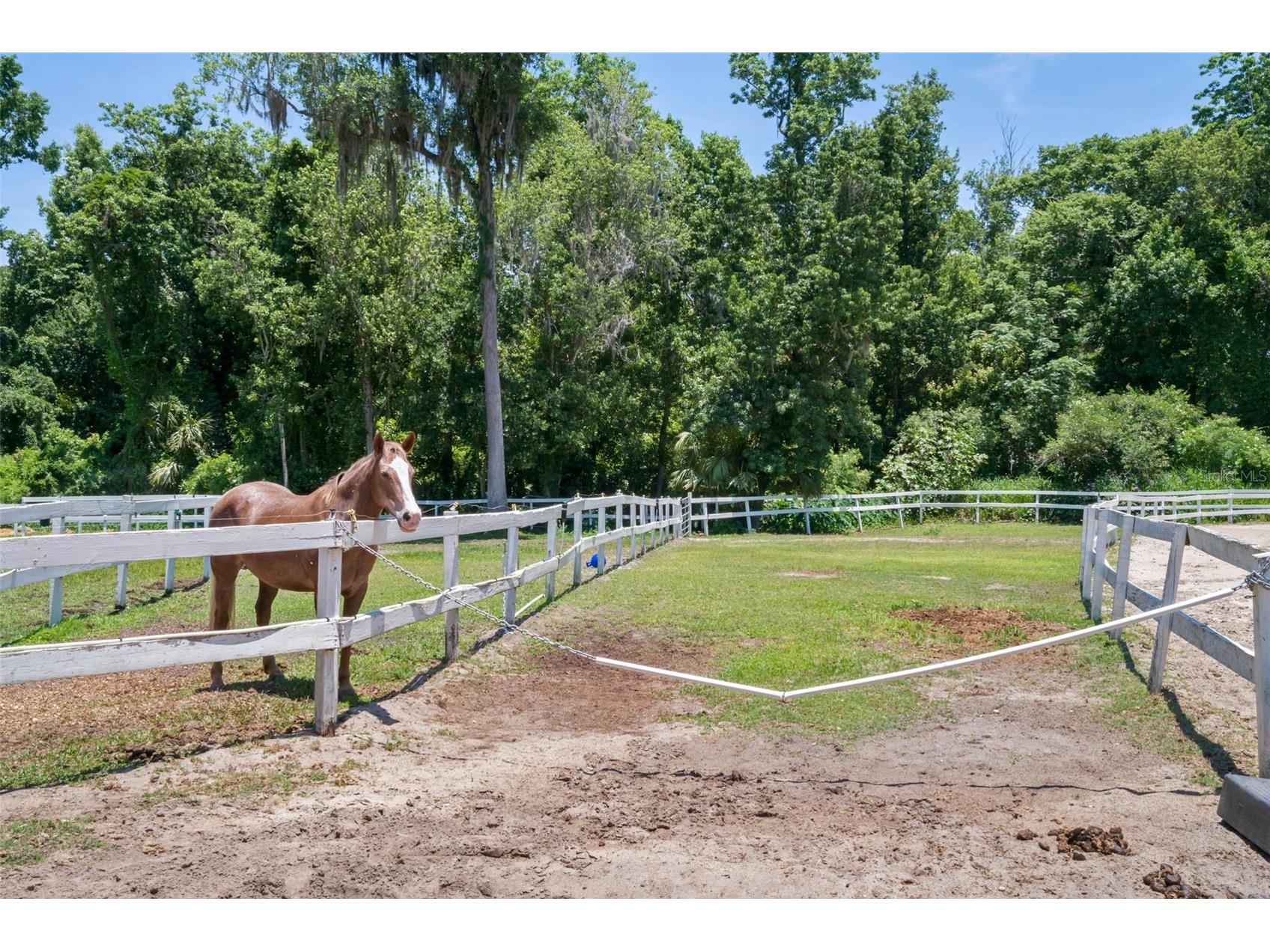 148 Wisteria Drive Longwood FL 32779 O6417383 image80