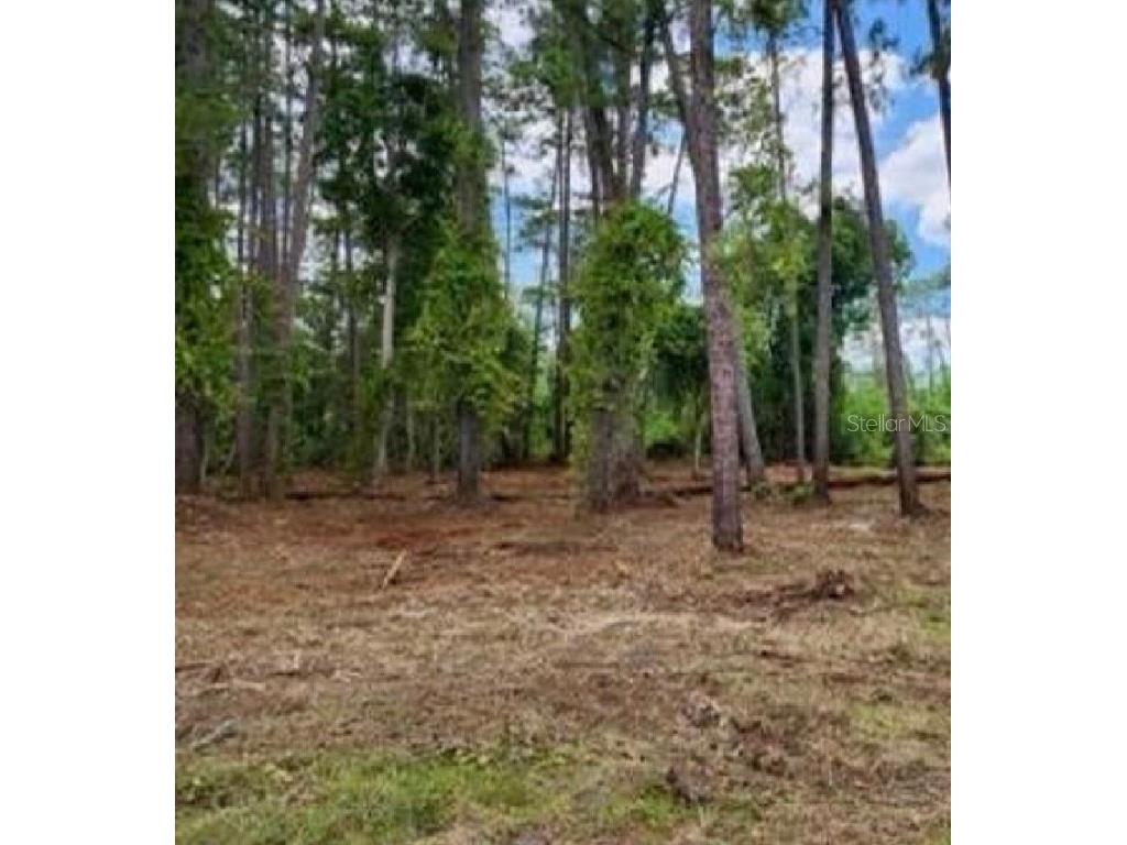 1480 6th Avenue Deland FL 32724 V4945781 image1