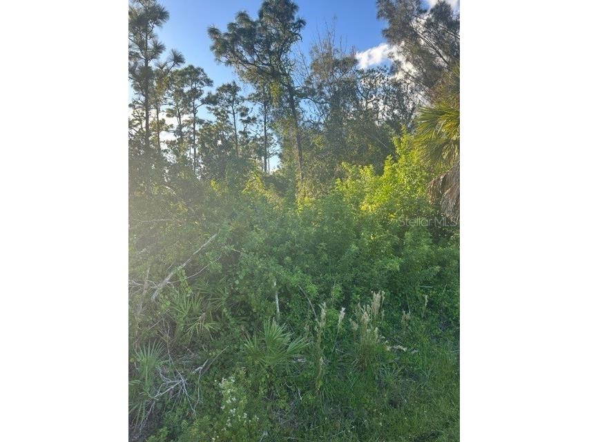 1480 Blaisdell Street Port Charlotte FL 33980 C7483843 image1