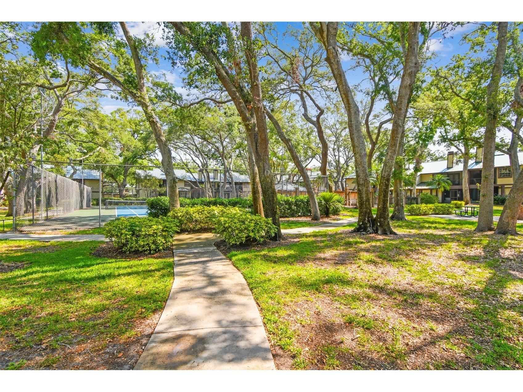 1480 Buckeye Lane Palm Harbor FL 34683 TB8451900 image21