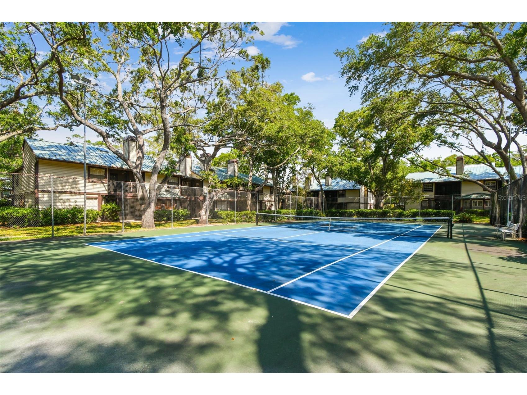 1480 Buckeye Lane Palm Harbor FL 34683 TB8451900 image22