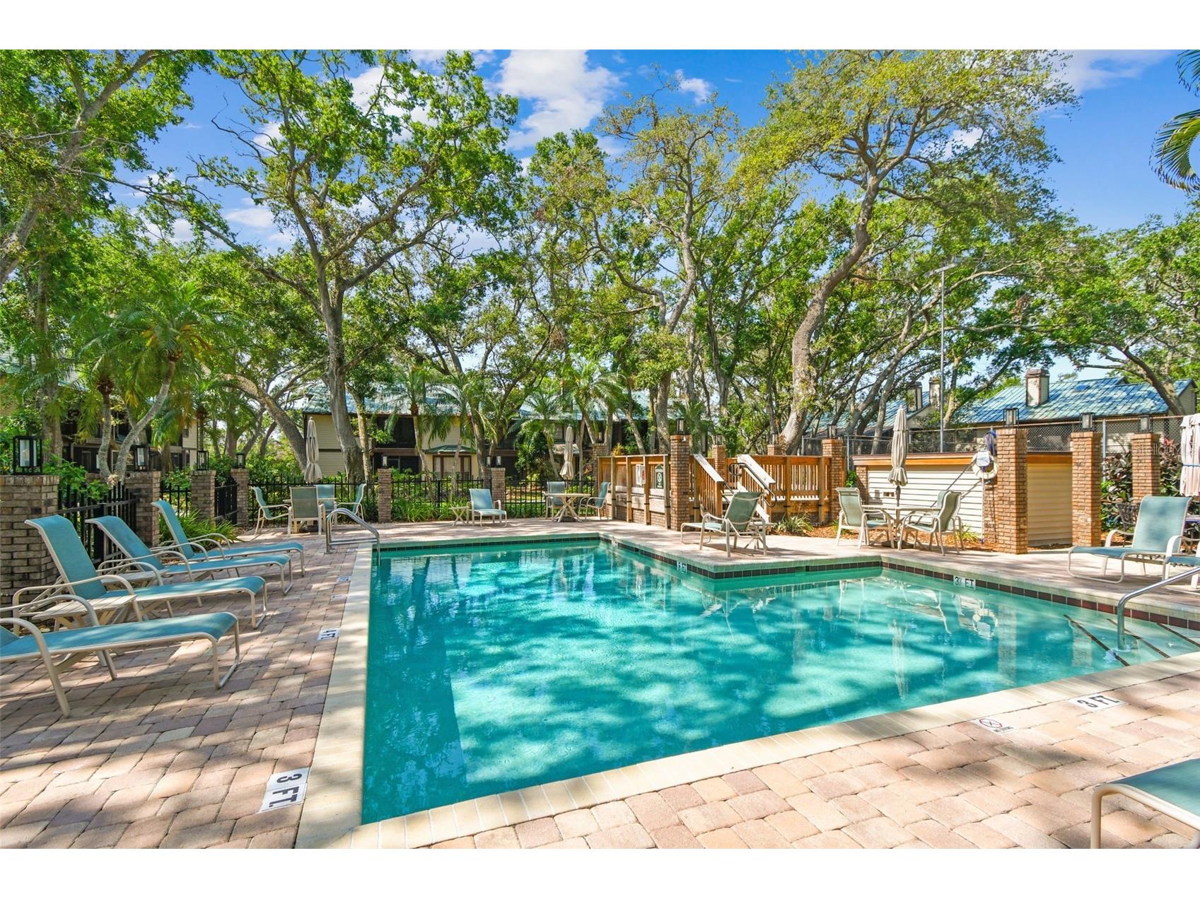 1480 Buckeye Lane Palm Harbor FL 34683 TB8451900 image23