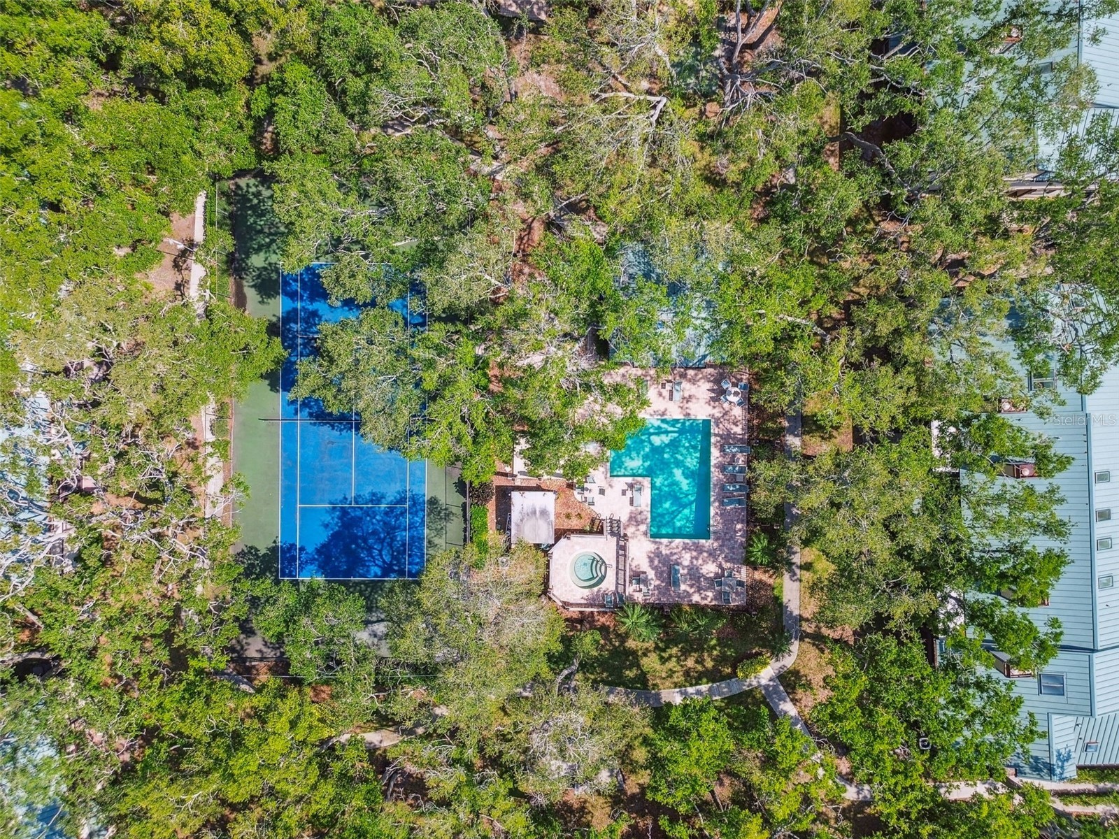 1480 Buckeye Lane Palm Harbor FL 34683 TB8451900 image27