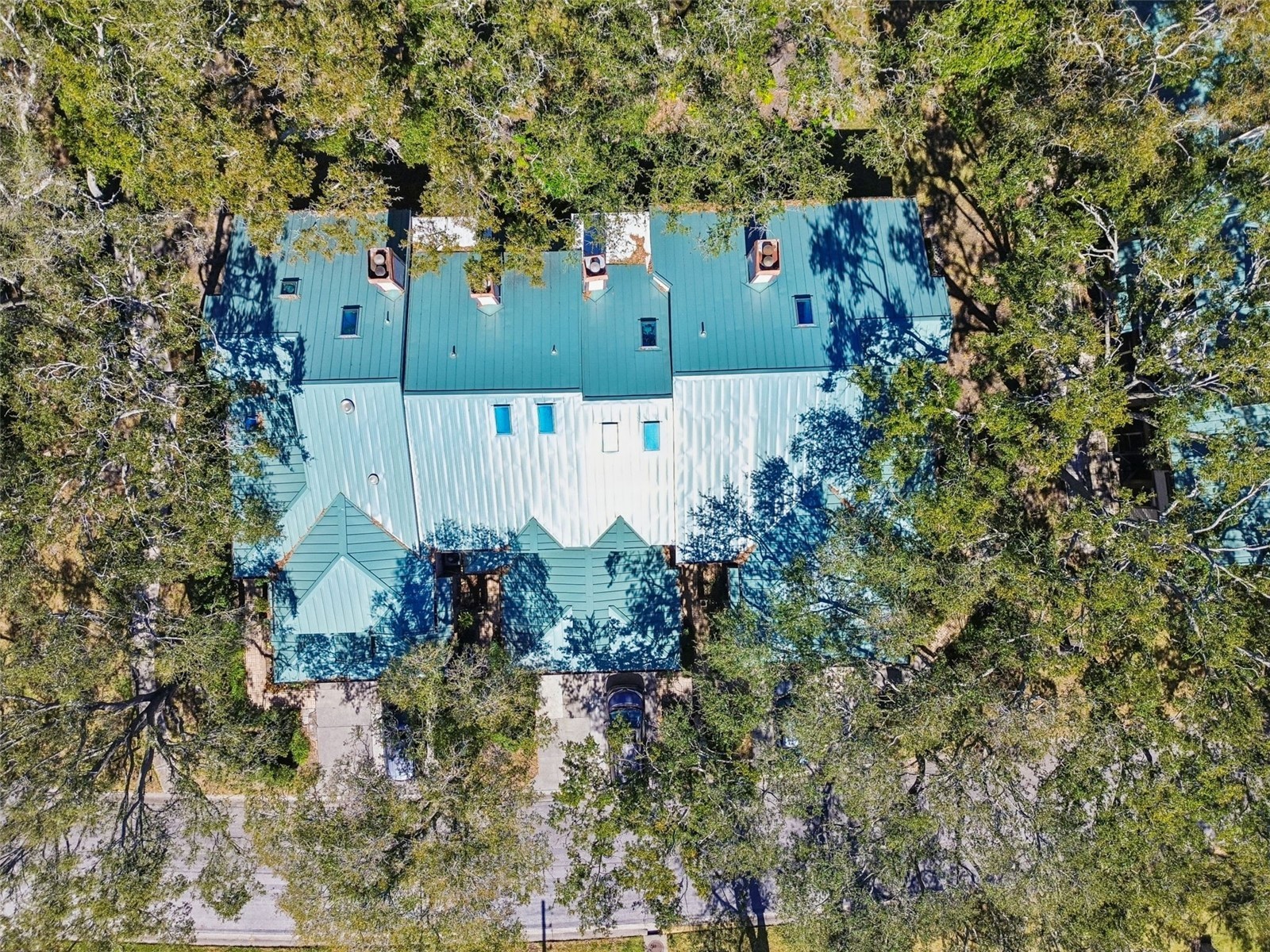 1480 Buckeye Lane Palm Harbor FL 34683 TB8451900 image28