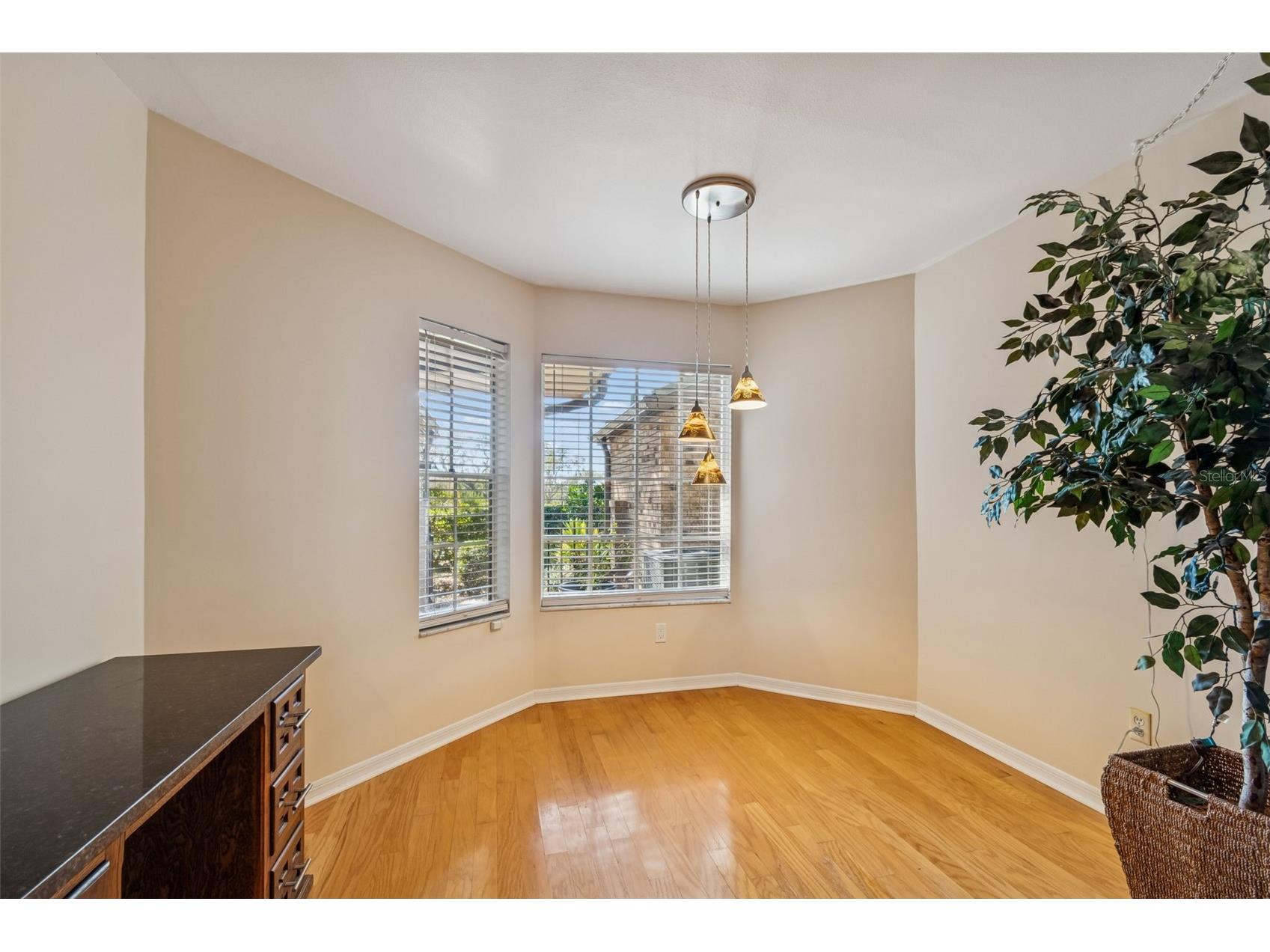 1480 Buckeye Lane Palm Harbor FL 34683 TB8451900 image6