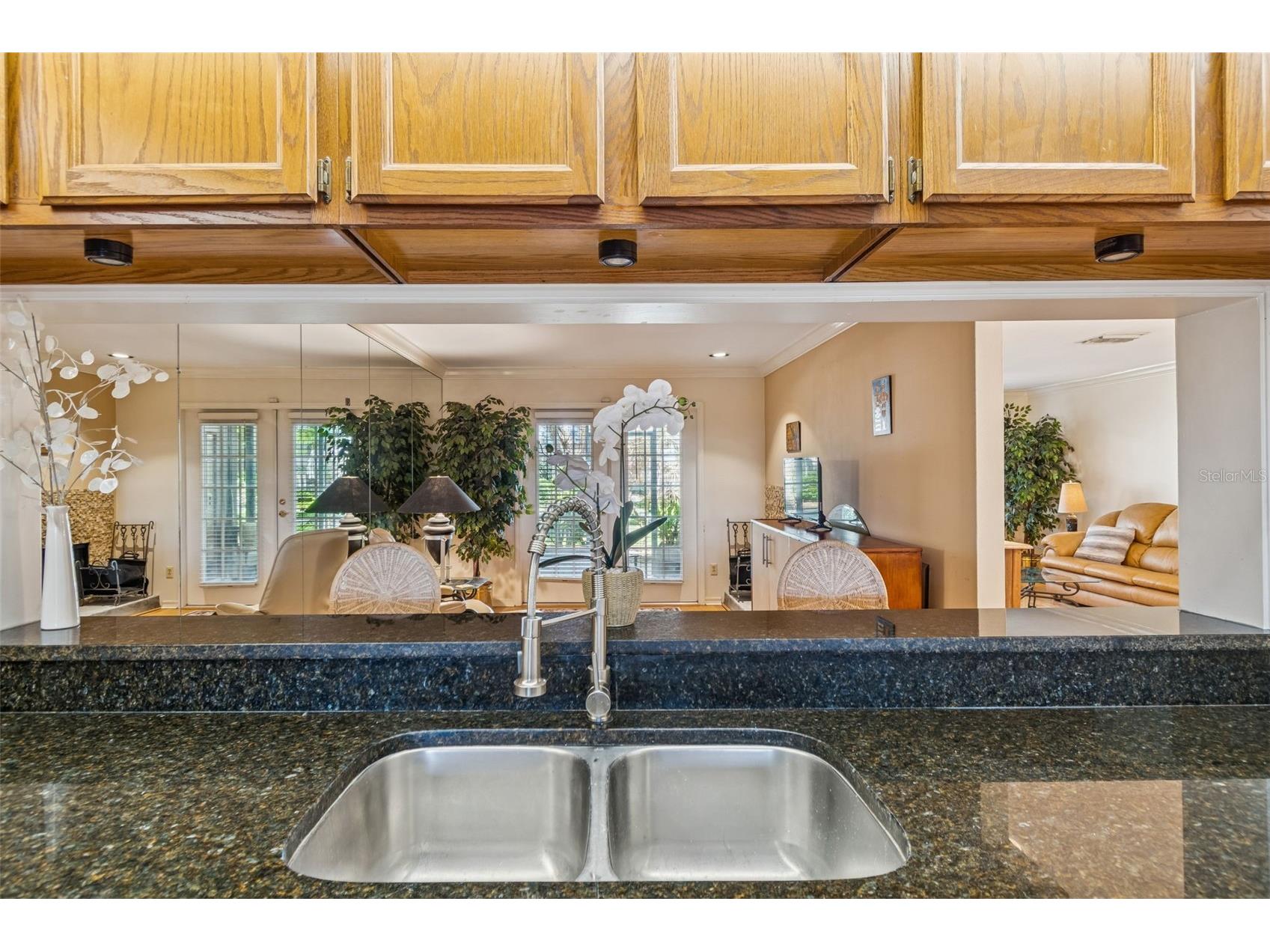 1480 Buckeye Lane Palm Harbor FL 34683 TB8451900 image7