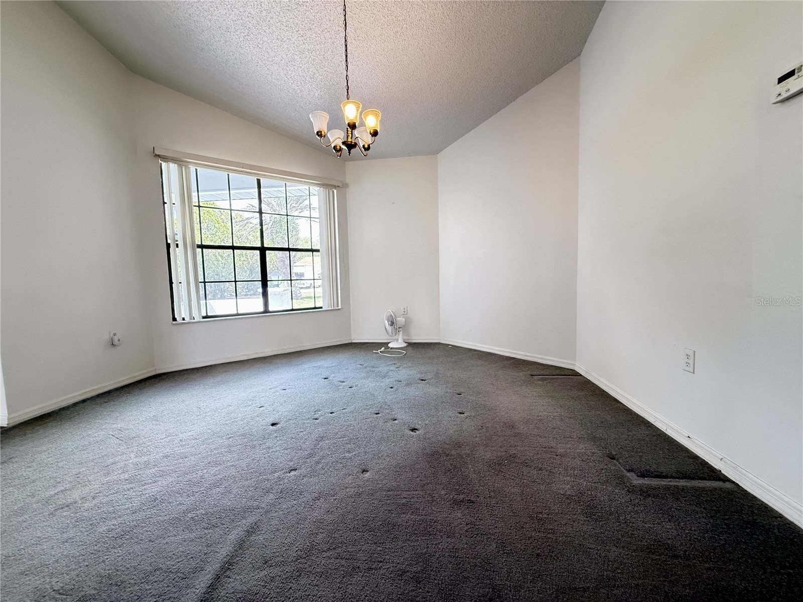 1480 Greenview Avenue Spring Hill FL 34606 W7886046 image14