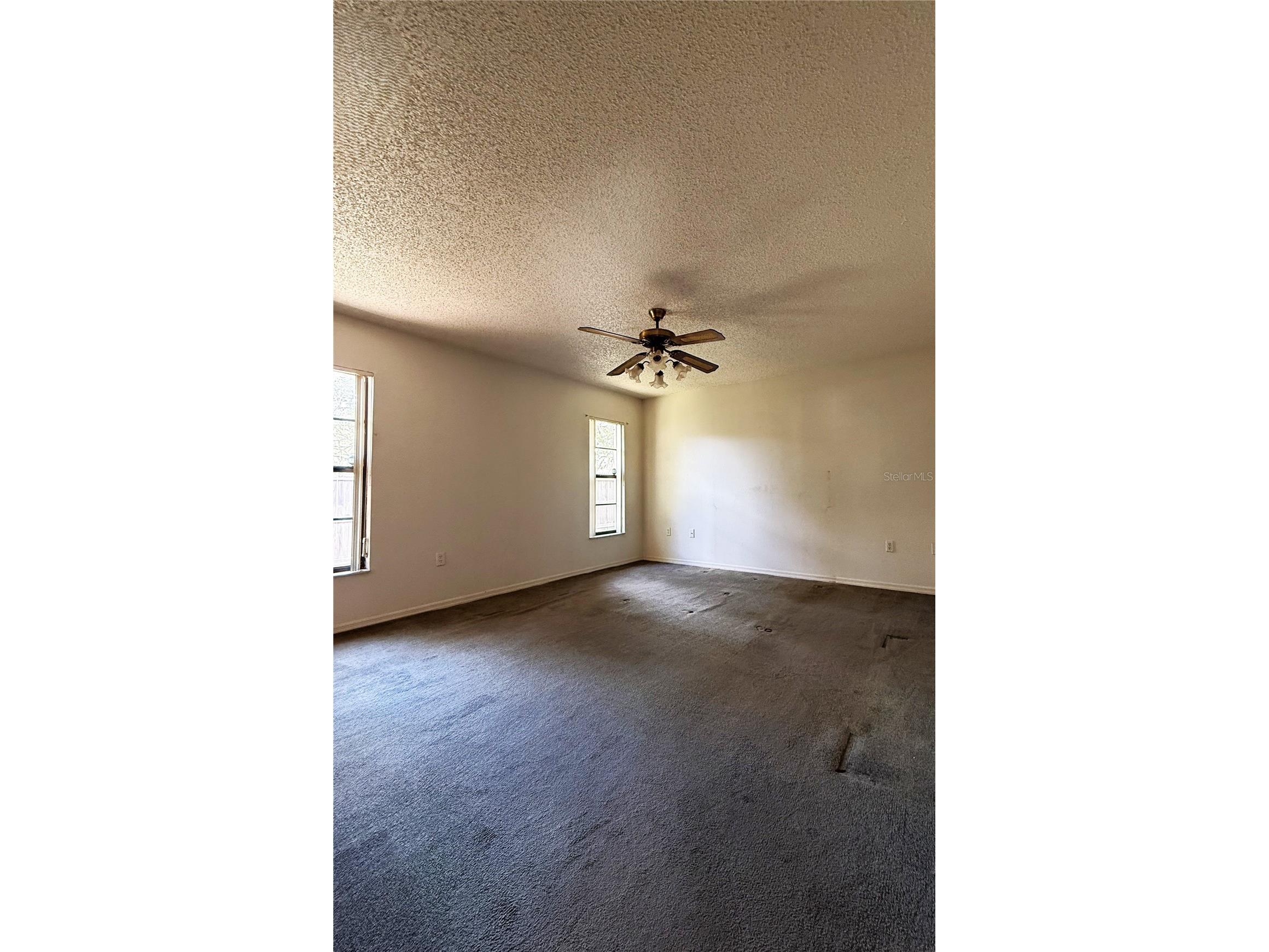 1480 Greenview Avenue Spring Hill FL 34606 W7886046 image17