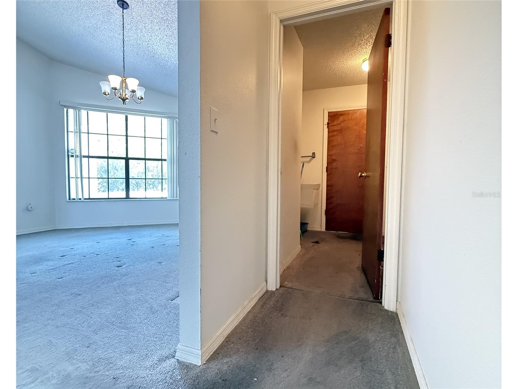1480 Greenview Avenue Spring Hill FL 34606 W7886046 image20
