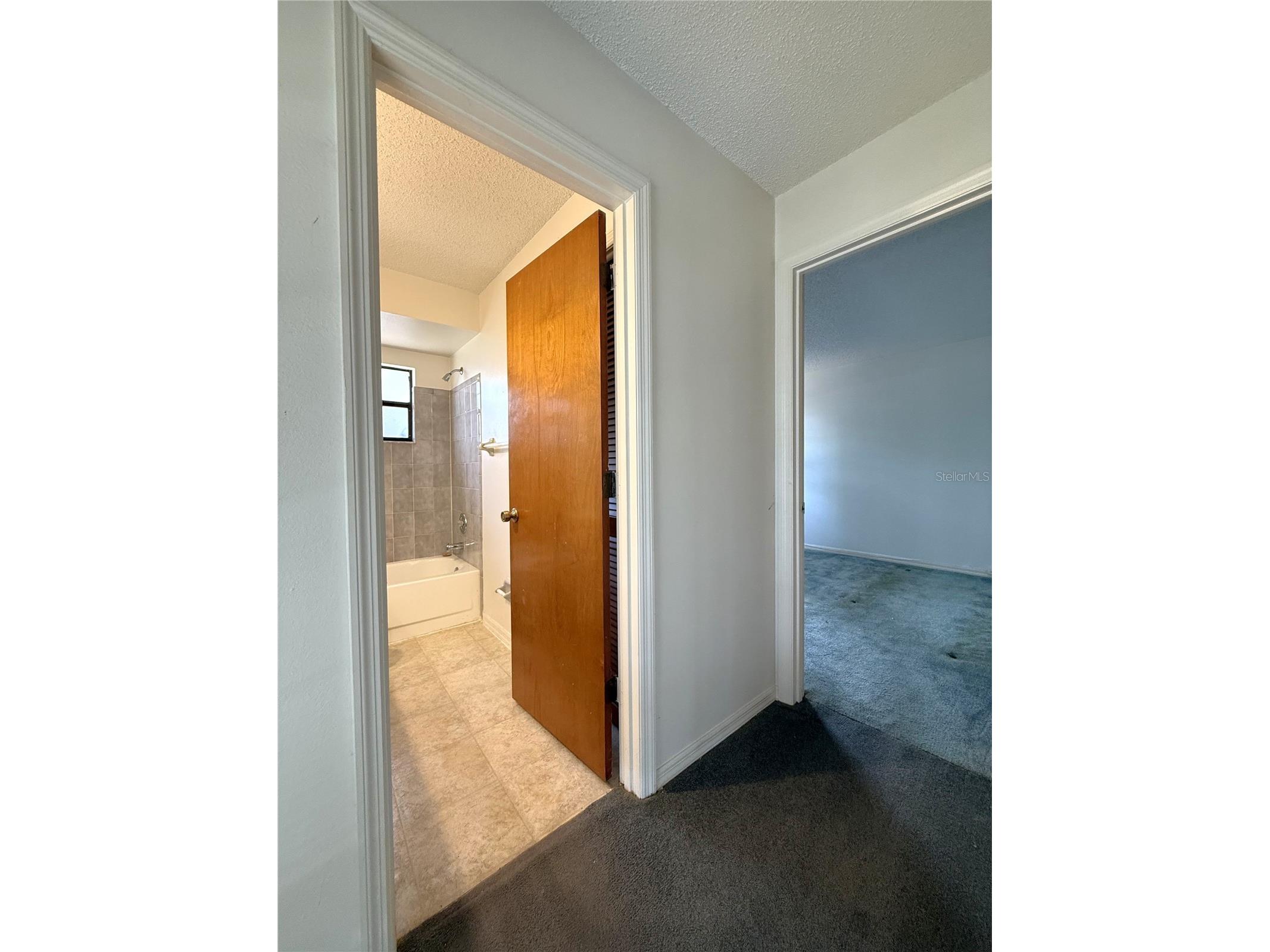 1480 Greenview Avenue Spring Hill FL 34606 W7886046 image9