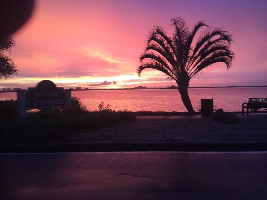 1480 Gulf Boulevard #106 Clearwater Beach FL 33767 TB8315052 image37