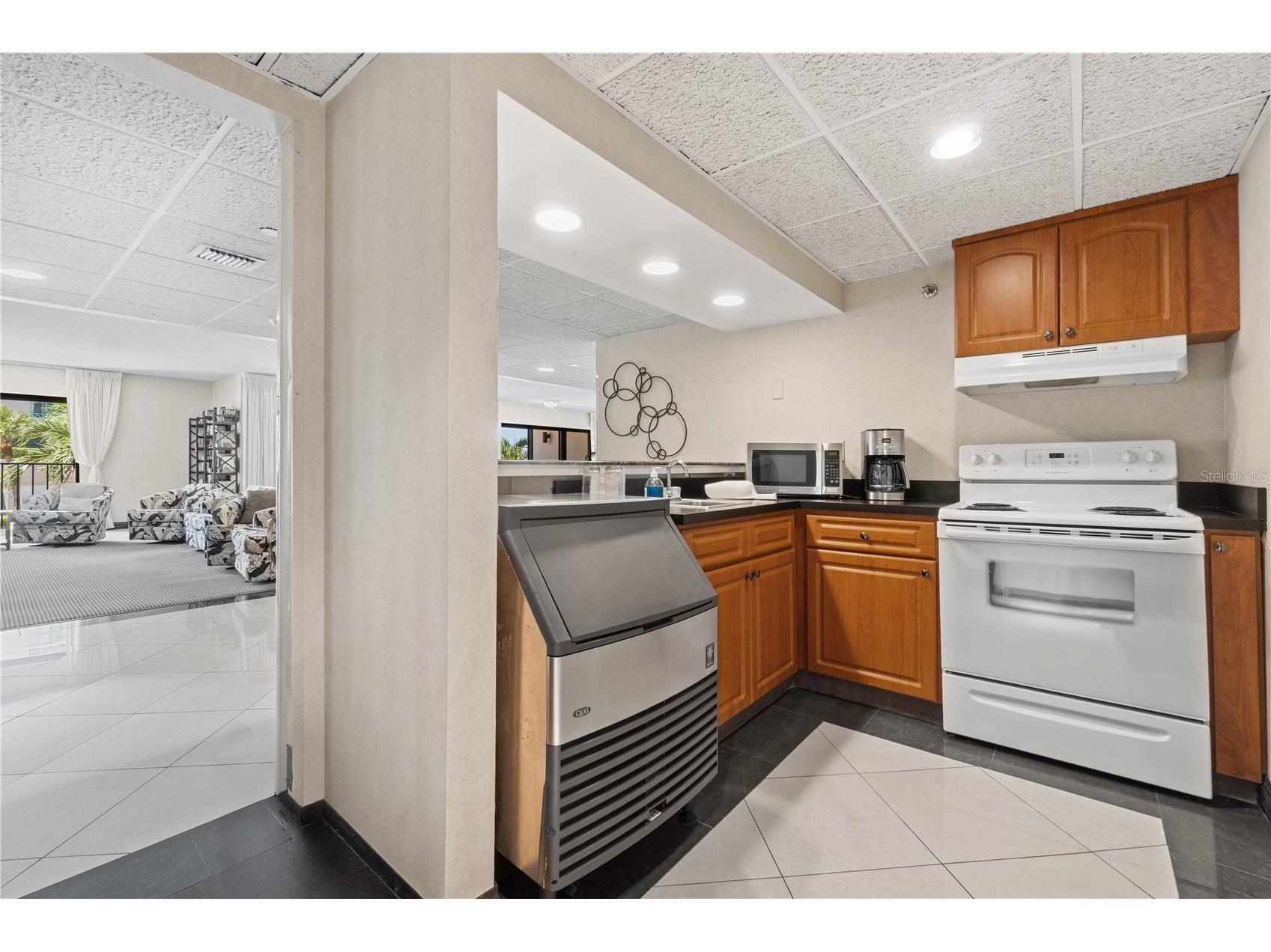 1480 Gulf Boulevard #1104 Clearwater Beach FL 33767 TB8492922 image48