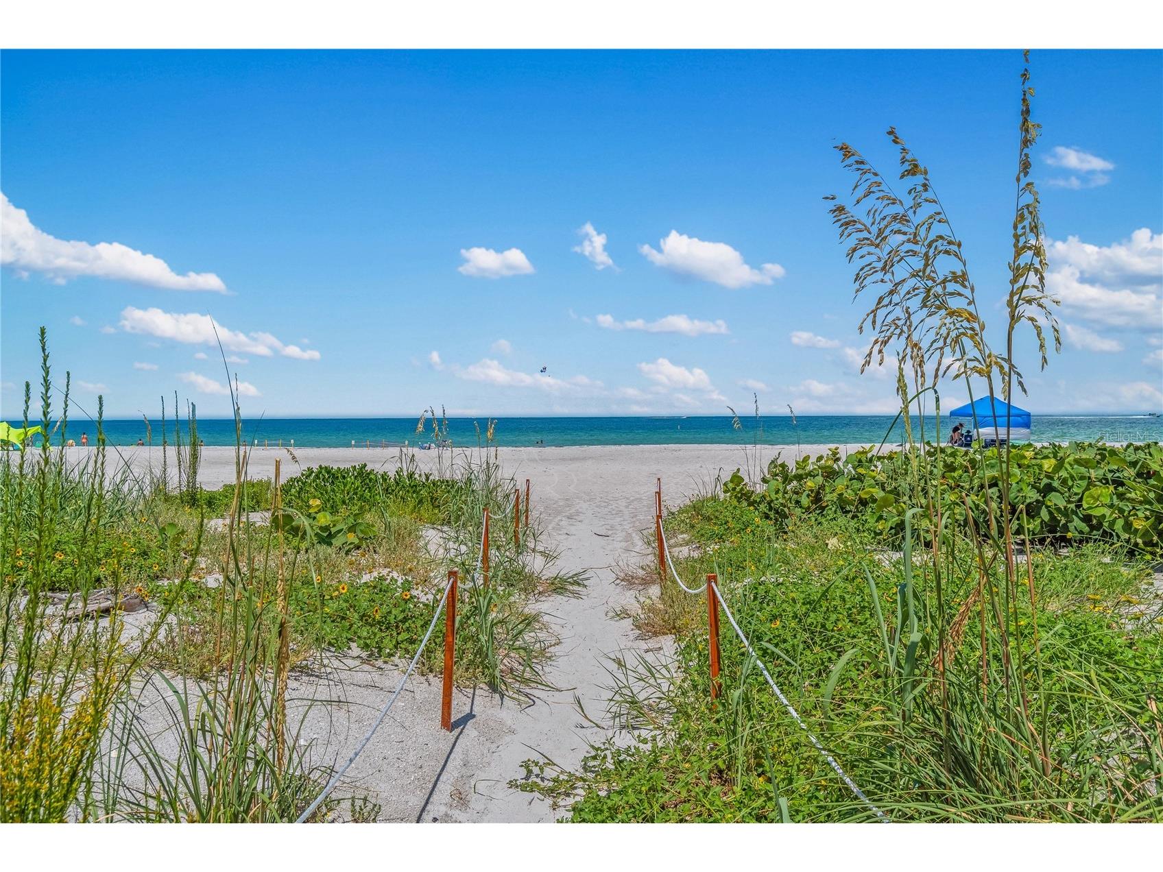 1480 Gulf Boulevard #1104 Clearwater Beach FL 33767 TB8492922 image53