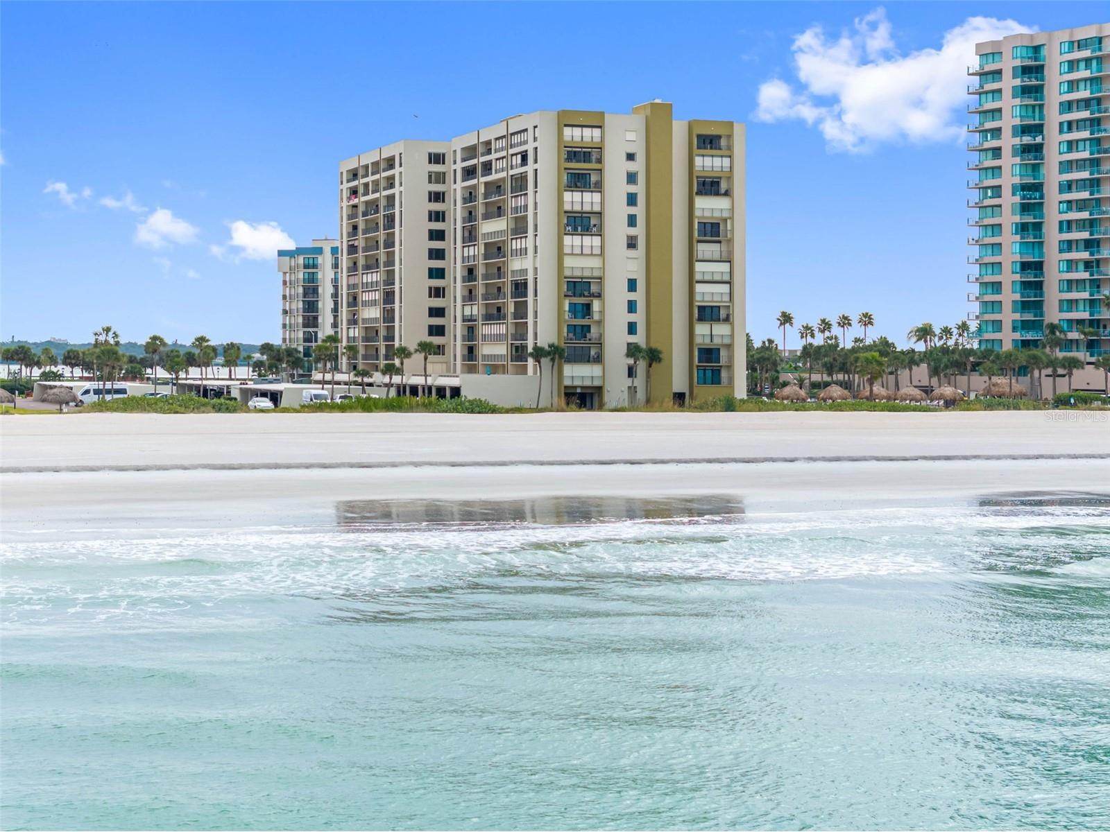 1480 Gulf Boulevard #204 Clearwater Beach FL 33767 TB8455321 image1