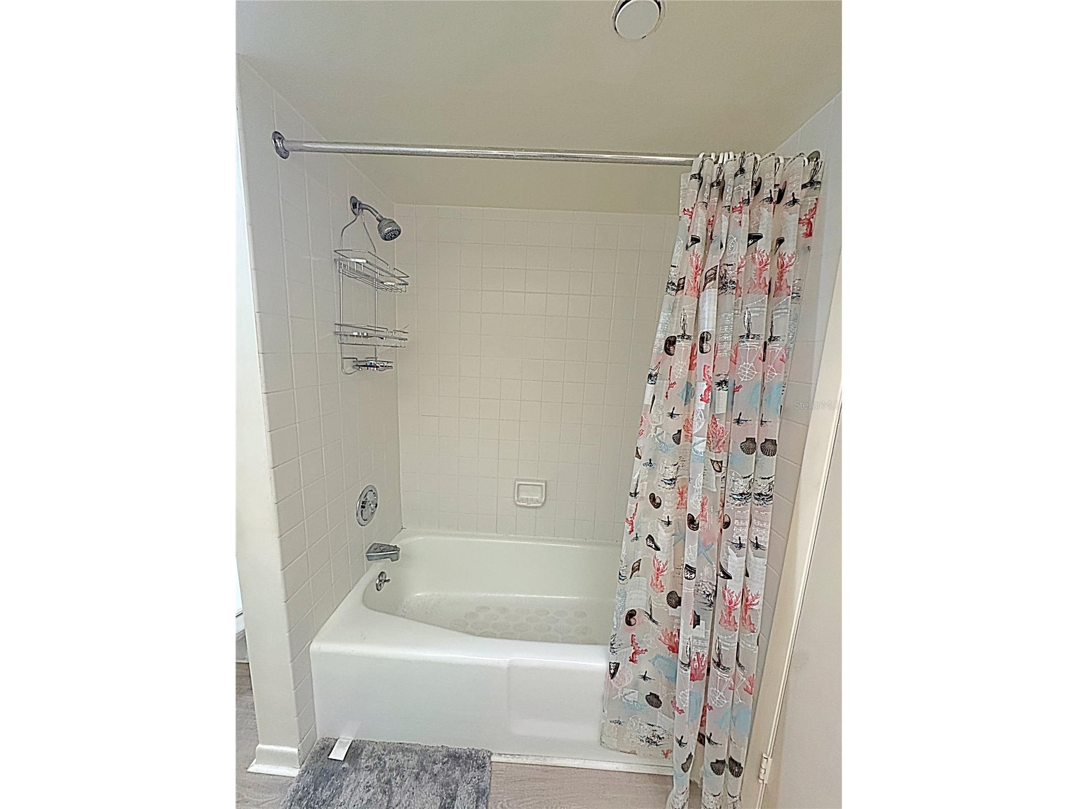 1480 Gulf Boulevard #308 Clearwater Beach FL 33767 TB8466190 image23