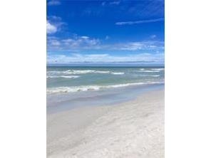 1480 Gulf Boulevard #308 Clearwater Beach FL 33767 TB8466190 image28