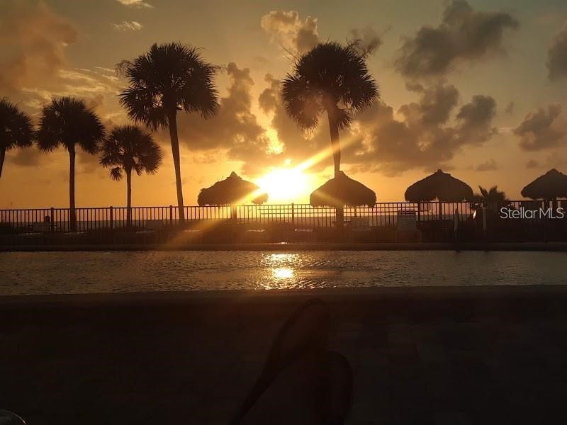 1480 Gulf Boulevard #309 Clearwater Beach FL 33767 - GULF OF MEXICO TB8516274 image15