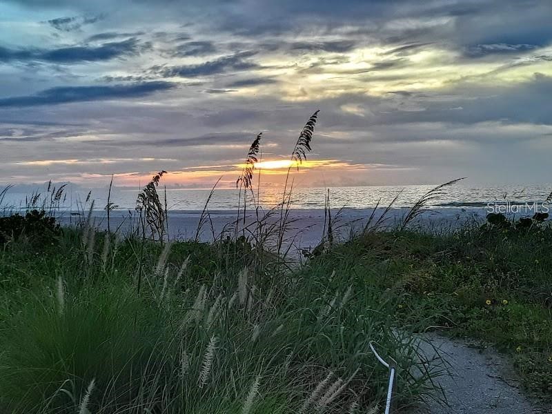 1480 Gulf Boulevard #309 Clearwater Beach FL 33767 - GULF OF MEXICO TB8516274 image18