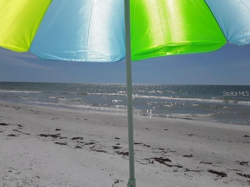 1480 Gulf Boulevard #309 Clearwater Beach FL 33767 - GULF OF MEXICO TB8516274 image23