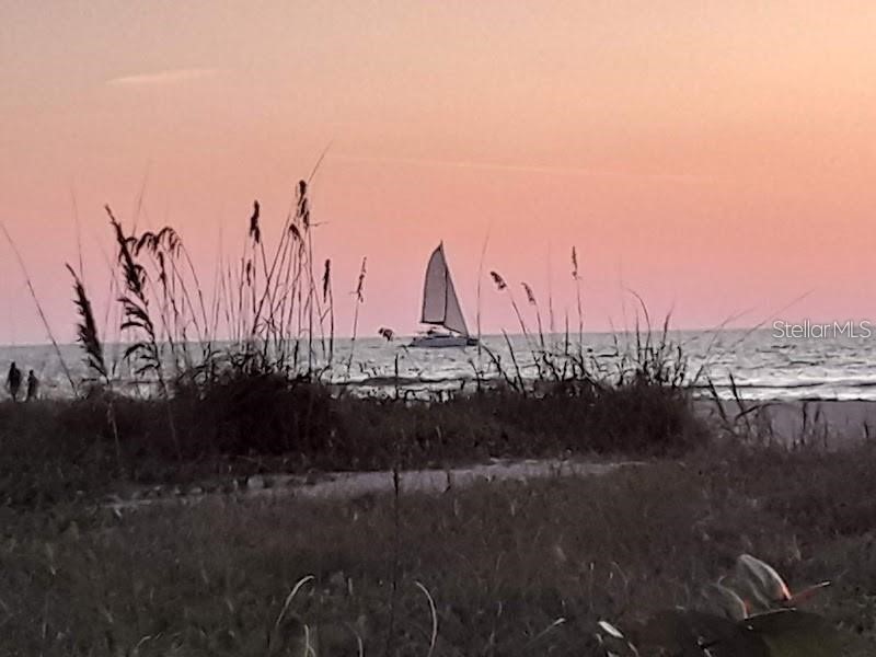 1480 Gulf Boulevard #309 Clearwater Beach FL 33767 - GULF OF MEXICO TB8516274 image25