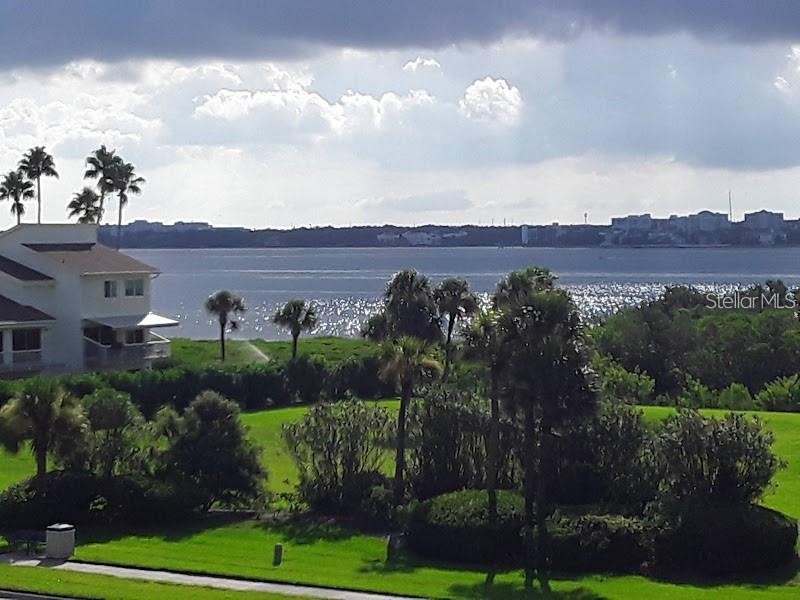 1480 Gulf Boulevard #309 Clearwater Beach FL 33767 - GULF OF MEXICO TB8516274 image27