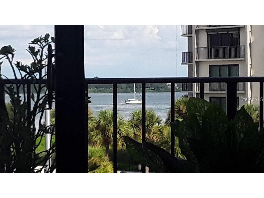 1480 Gulf Boulevard #309 Clearwater Beach FL 33767 - GULF OF MEXICO TB8516274 image28