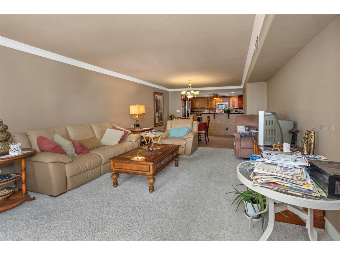 1480 Gulf Boulevard #506 Clearwater Beach FL 33767 TB8422600 image40