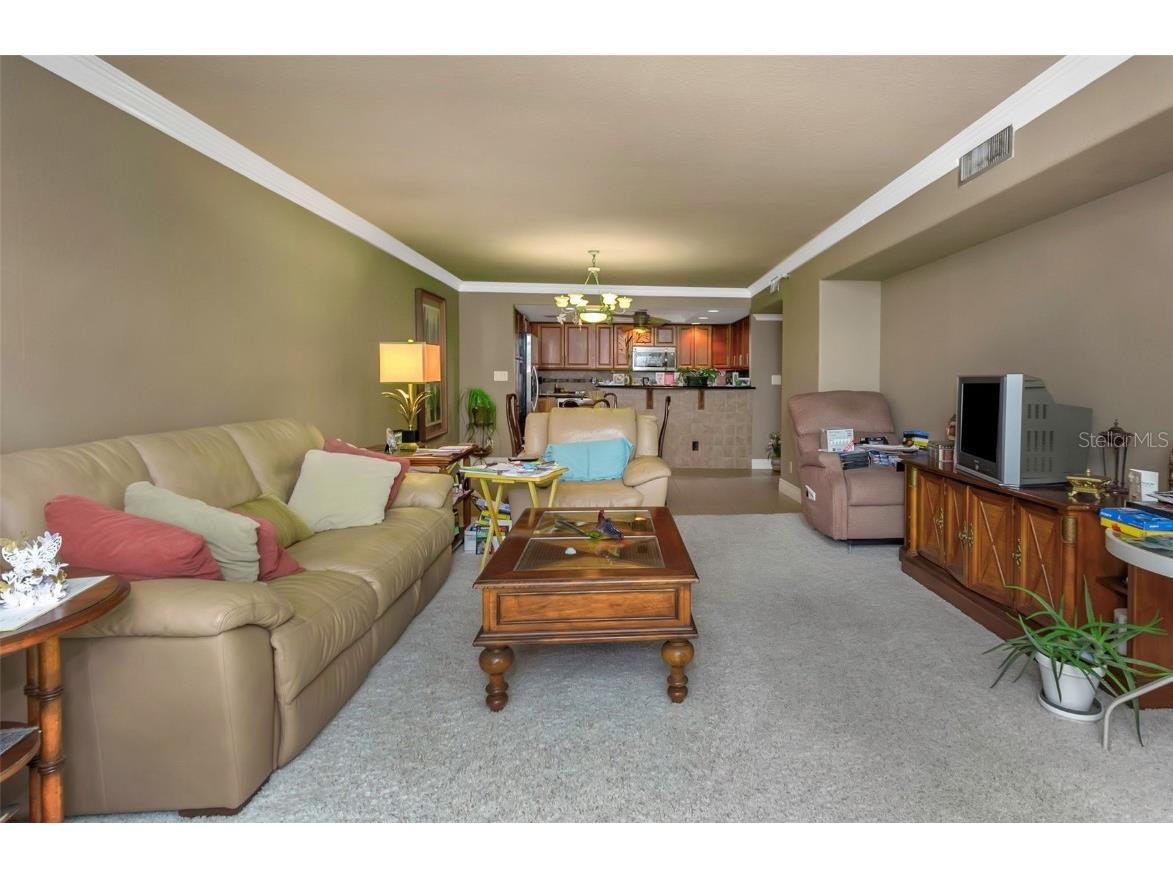 1480 Gulf Boulevard #506 Clearwater Beach FL 33767 TB8422600 image41